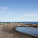 Sol Y Sal Κανδελάρια